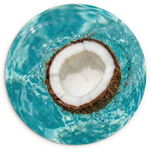 Kokosnoot - Water - Wit Wandcirkel kunststof plaat 5mm dik klein -3d