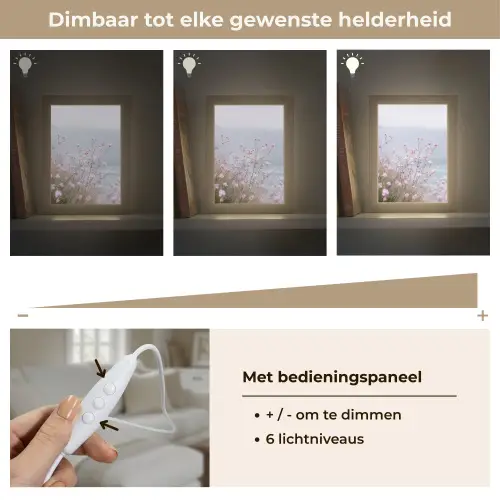 Klif - Bloemen - Zee - Roze Light Box met kabel (Tafellamp) klein -USP_dimbaarNL