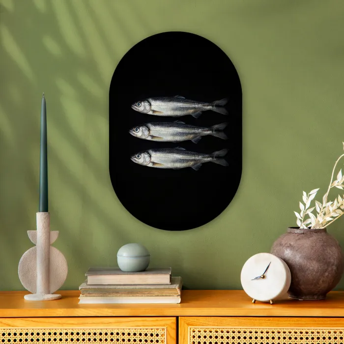Haring - Vissen - Zwart Wandcirkel Ovaal Forex klein -sfeer2
