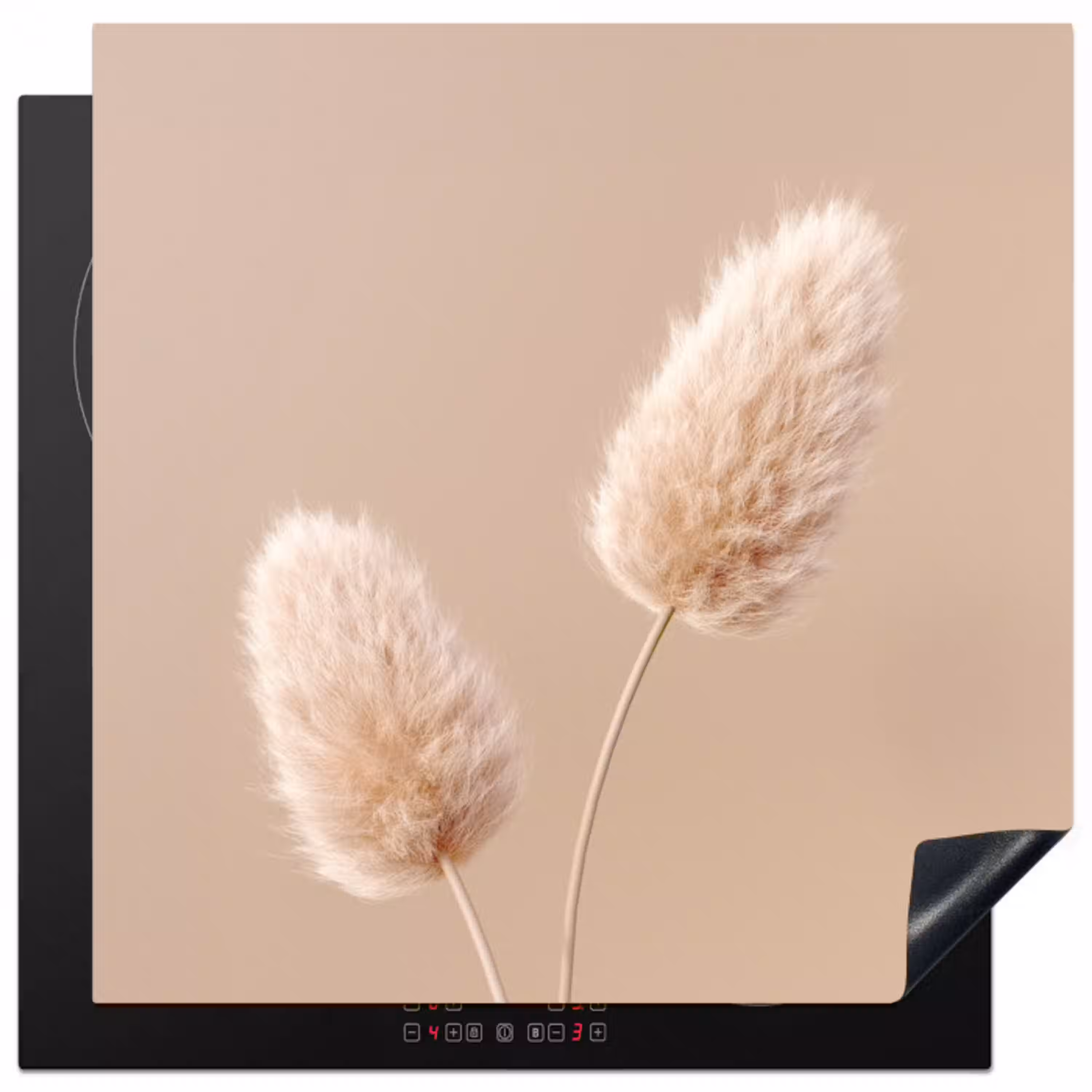 Pampas pluimen - Beige - Planten Inductie beschermer vinyl 3mm middel -3d