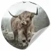 Schotse Hooglander - Bos - Mist - Koe - Dieren - Natuur Wandcirkel behangsticker klein -3d