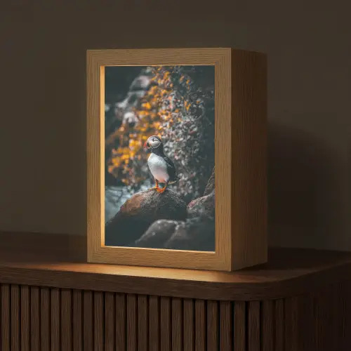 Papegaai - Vogel - Rots - Wit Light Box met kabel (Tafellamp) klein -z3d_website