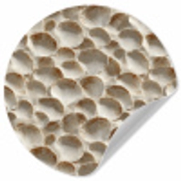 Schelpen - Waaiervorm - Wit Wandcirkel behangsticker klein 186 -3d