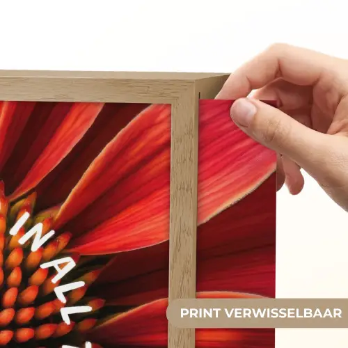 Close up - Bloem - Quote - Rood Light Box met batterij (Wandlamp) middel -USP_websiteprintNL