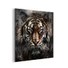 Tijger - Dieren - Portret - Luxe - Zwart aluminium wit klein -3d