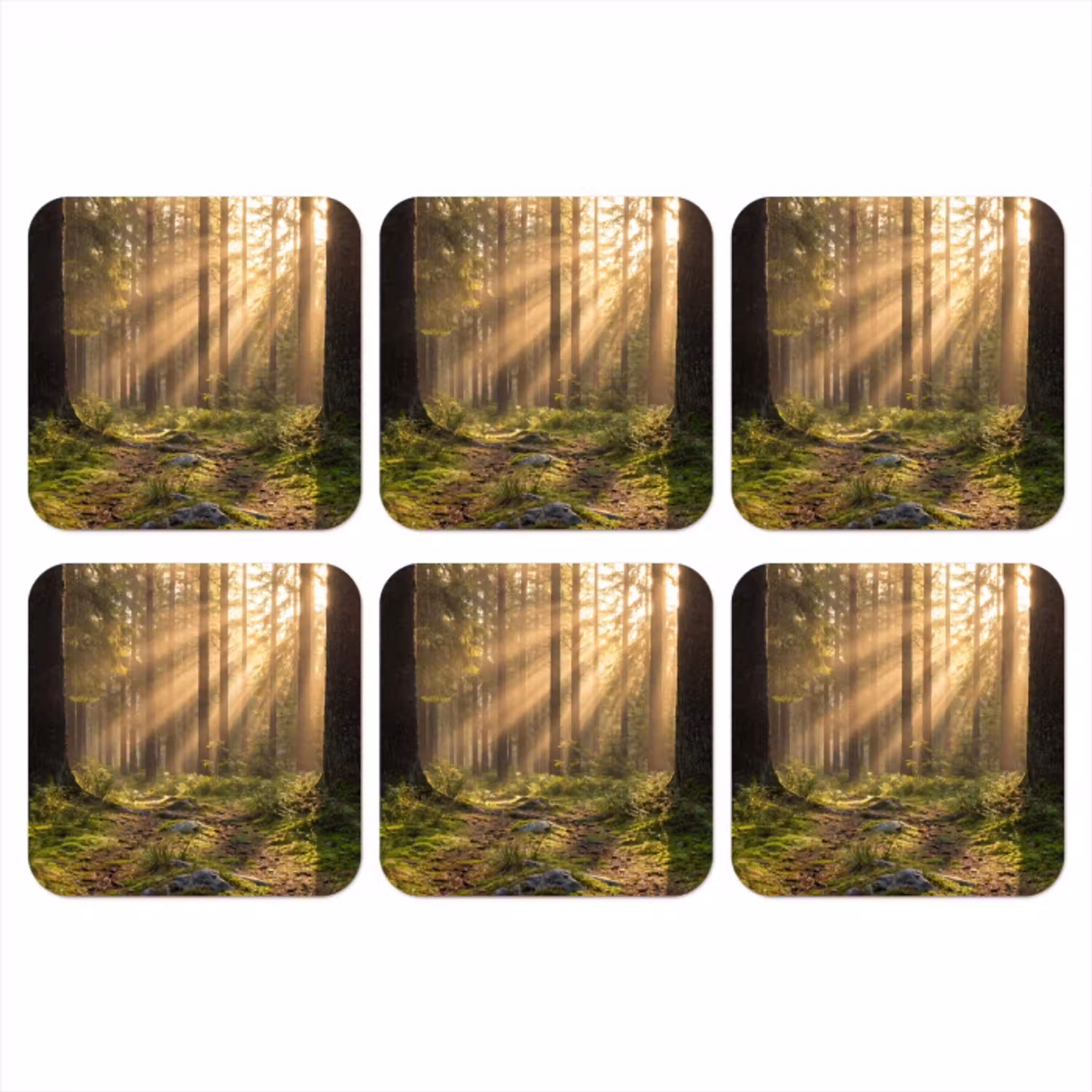 Bos - Zonlicht - Gras onderzetter kurk middel -3d