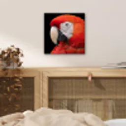 Ara - Portret - Rood aluminium wit klein -sfeer3