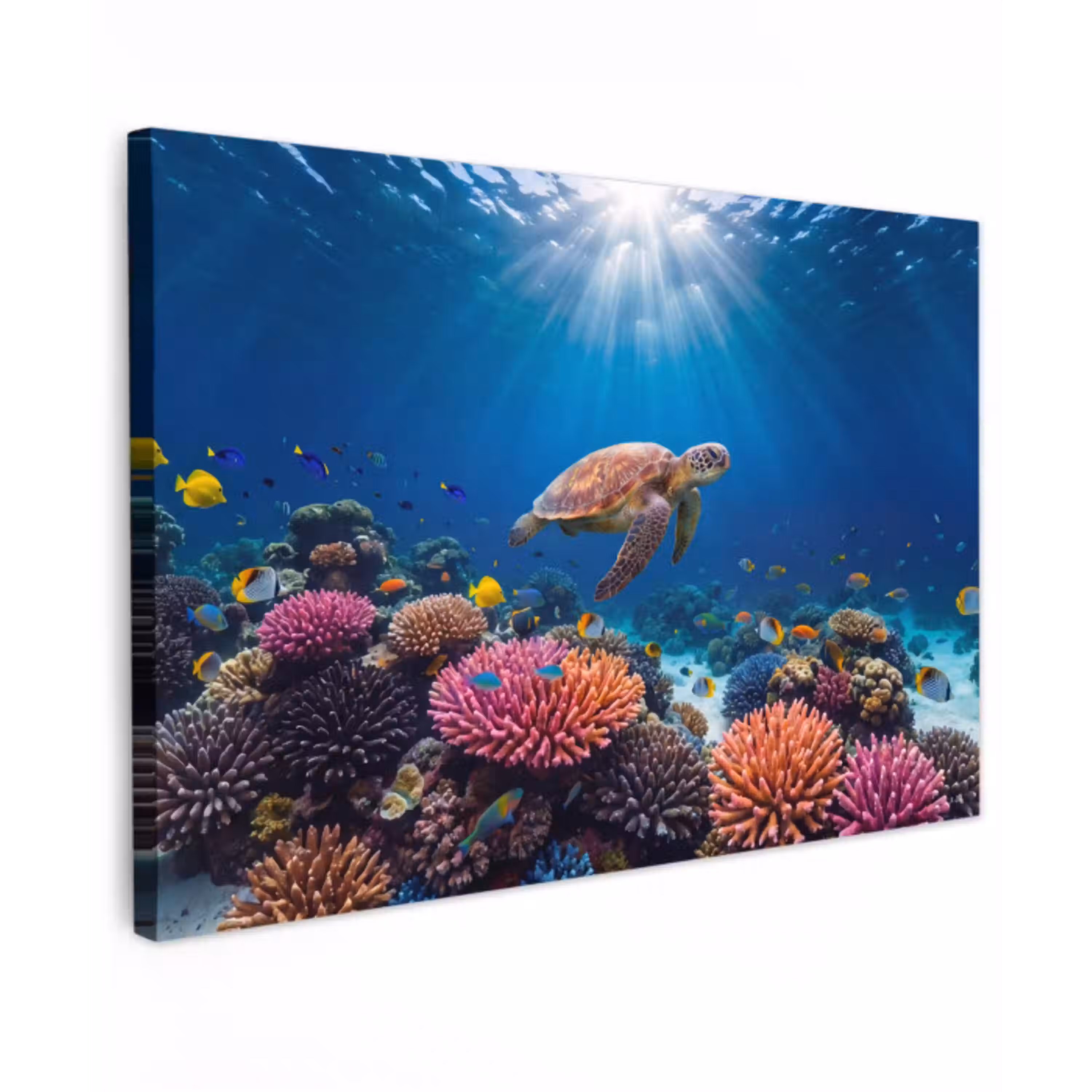 Schildpad - Koraalrif - Oceaan - Dieren - Blauw canvas 2cm klein -z3d