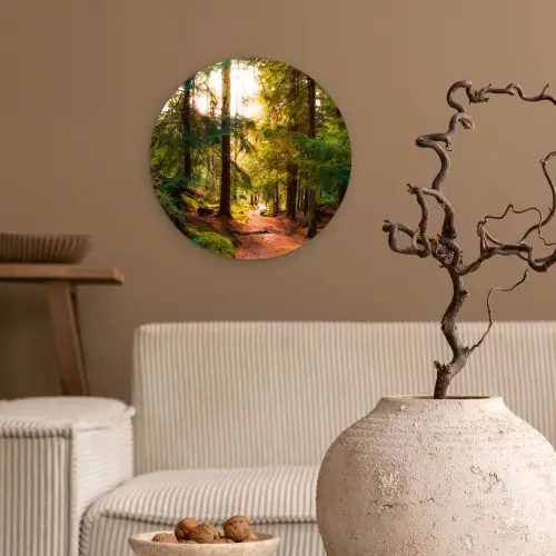 Bos - Pad - Bomen - Groen - Zon - Natuur Wandcirkel kunststof plaat 5mm dik klein -sfeer1