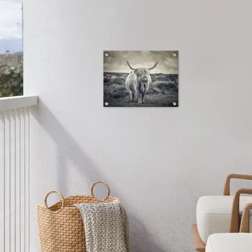 Schotse hooglander - Dieren - Wolken - Koe - Natuur tuinposter los doek klein -sfeer8