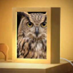 Oehoe - Uil - Portret - Bruin Light Box met kabel (Kinderlampje) klein -zzzz_3d_website