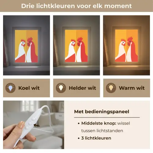 Kippen - Oranje - Vlakken Light Box met kabel (Tafellamp) klein -USP_lichtkleurNL