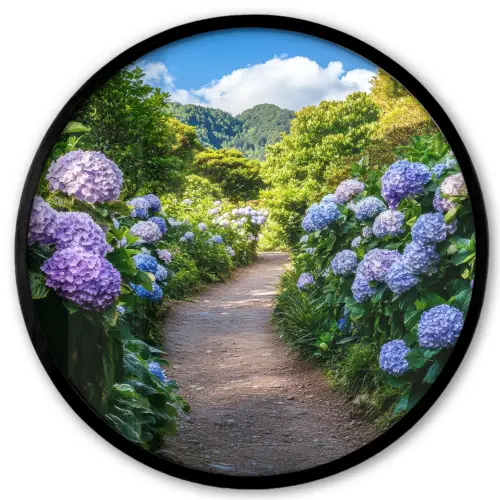 Hortsensia - Pad - Bloemen Fotolijst rond zonder passe partout klein -3d