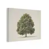 Eikenboom - Groen - Lichte achtergrond PET vilt klein -3d