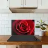 Rood - Roos - Romantisch keuken achterwand spatscherm klein -sfeer2