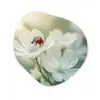 Lieveheersbeestje - Bloemen - Wit Wandcirkel Organisch Forex 3mm klein -3d