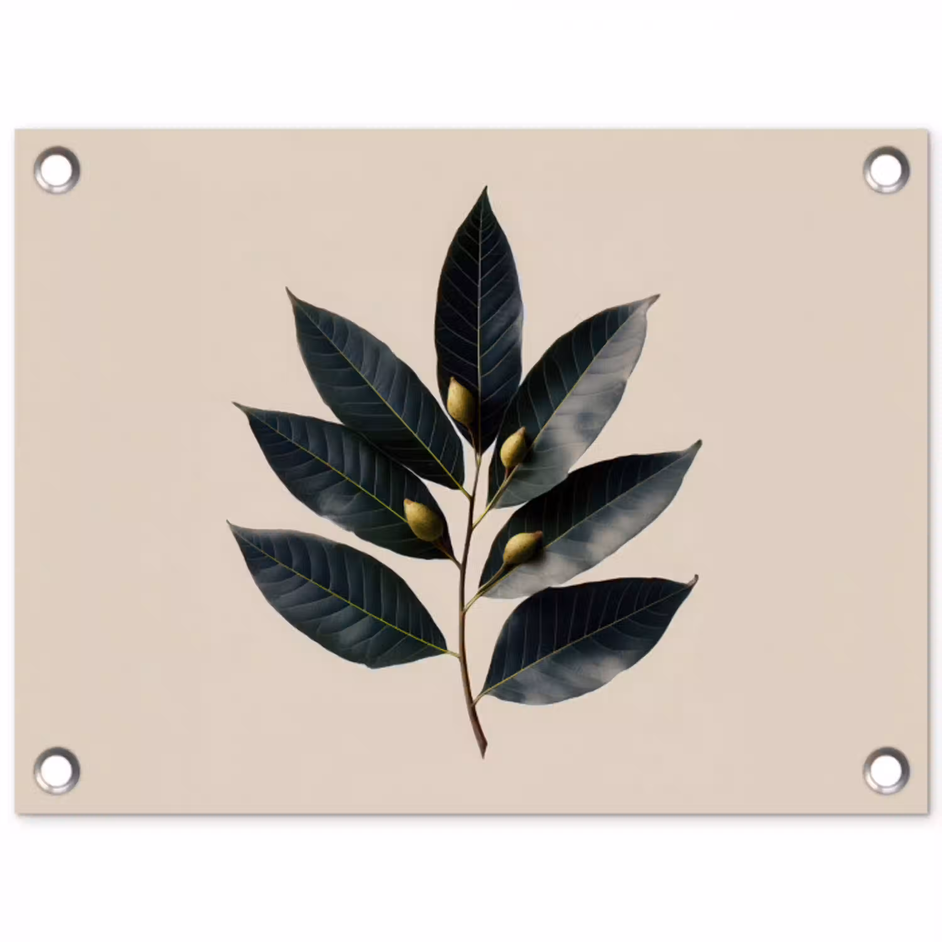 Laurierbladeren - Bloemknoppen - subtiel tuinposter los doek klein -3d