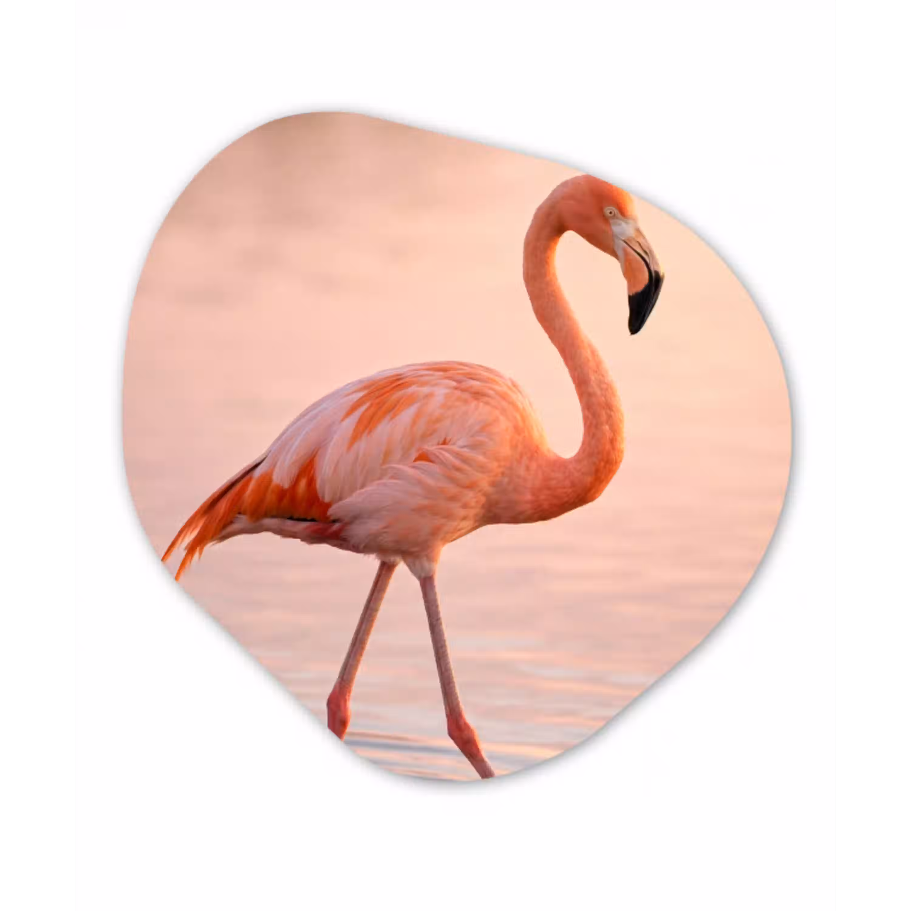 Flamingo - Water - Roze Wandcirkel Organisch Aluminium middel -3d