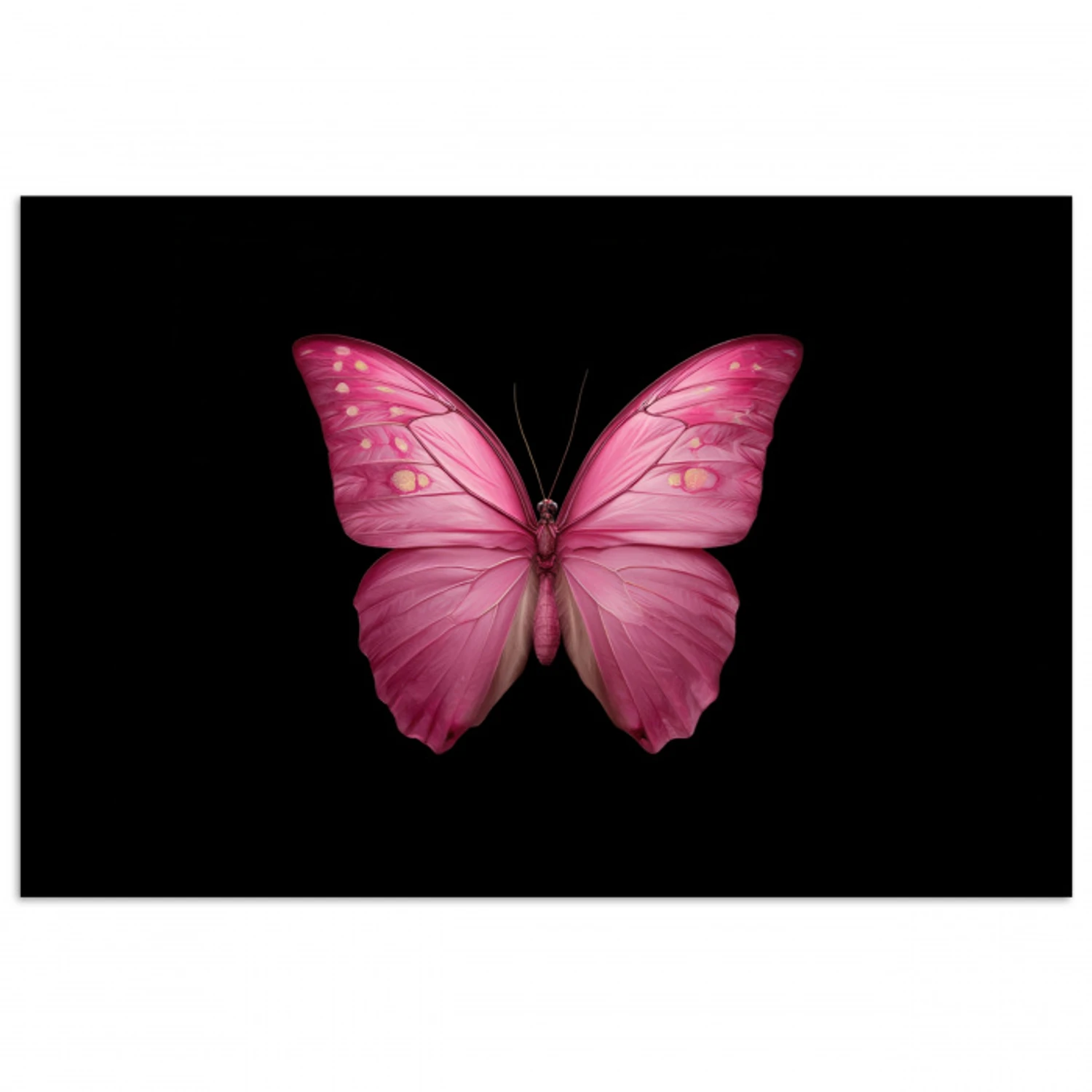 Vlinder - roze - Elegant poster papier klein -3d