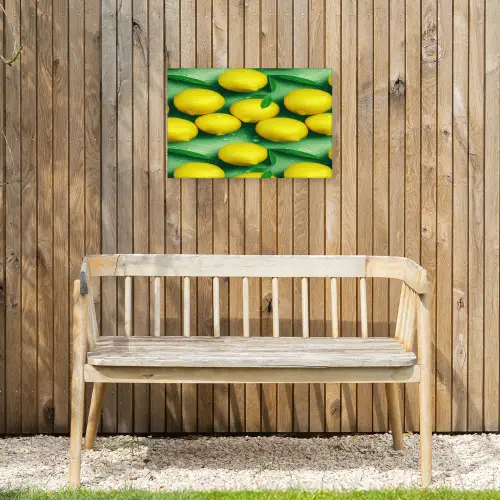 Citroenen - Geel - Groen - Druppels Tuinposter op houten frame 2 cm dik klein 845 -sfeer4