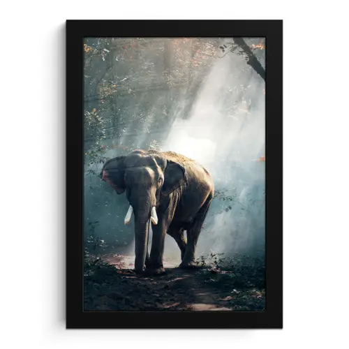 Olifant - Dieren - Licht - Bos - Natuur - Wilde dieren fotolijst zwart zonder passe partout klein -3d