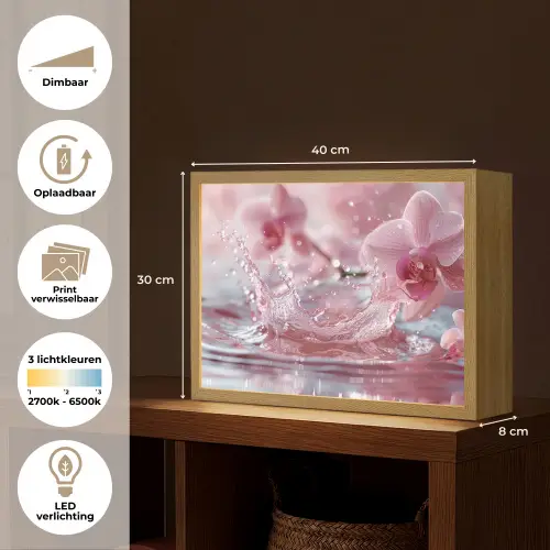 Abstract - Modern - Water - Orchidee Light Box met batterij (Wandlamp) middel -USP_websiteoverzichtNL