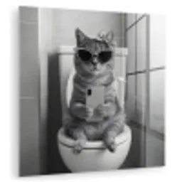 Kat - Telefoon - Toilet - Zwart - Wit plexiglas 5mm klein -zzzproduct_nieuw