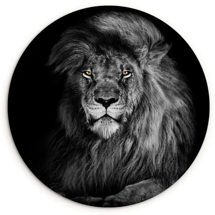 Leeuw - Ogen - Oranje - Zwart wit - Dieren - Portret Wandcirkel kunststof plaat 5mm dik klein -3d