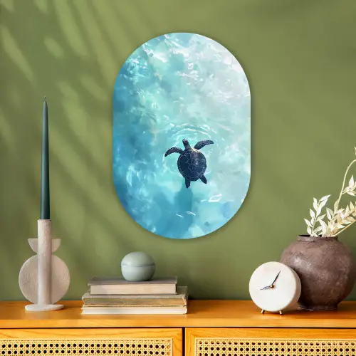 Schildpad - Zee - Blauw - Schittering Wandcirkel Ovaal Forex klein -sfeer2