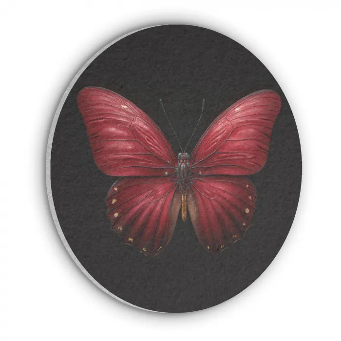 Vlinder - Rood - Minimalistisch Akoestische PET Vilt - Rond klein -3d