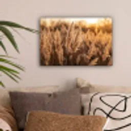 Rietpluimen - Gras - Zonsondergang - Goud - Serene canvas 2cm klein -sfeer1