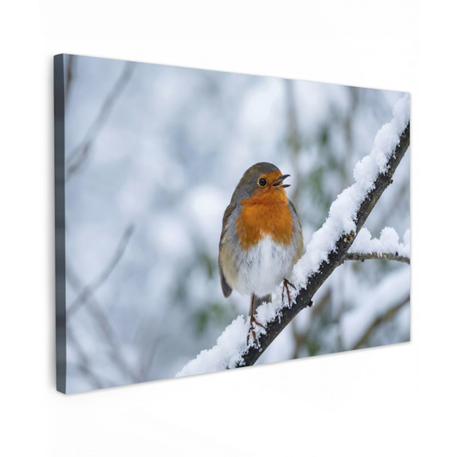 Roodborstje - Tak - Sneeuw - Winter - Levendig canvas 2cm klein -z3d