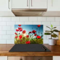 Klaprozen - Toscane - Zon - Rood - Blauw keuken achterwand spatscherm klein -sfeer2