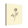 Illustratie - Zwart - Roos aluminium wit klein -3d