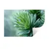Blad - Plant - Groen - Textuur Muursticker klein -3d