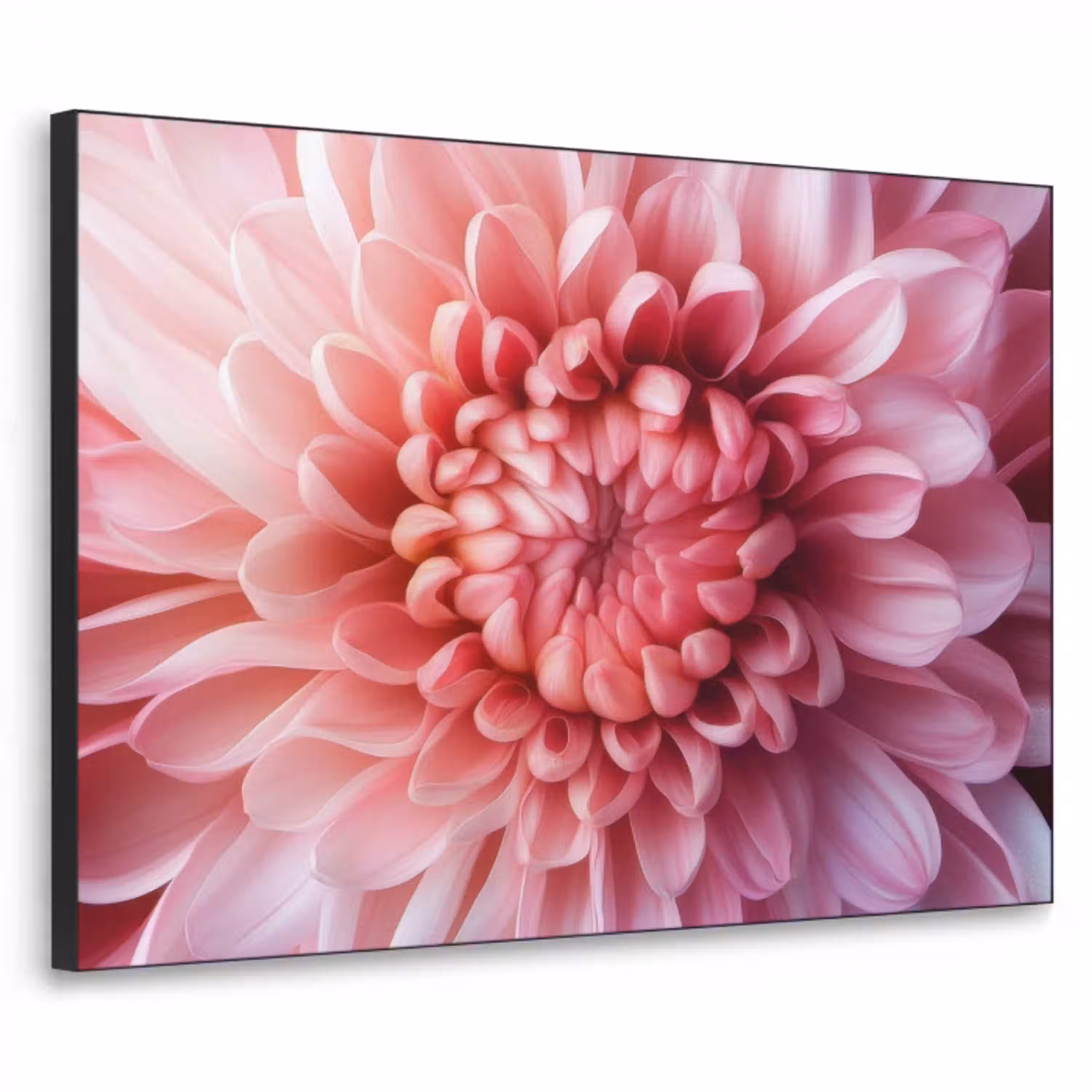 Dahlia - Bloem - Close up - Roze Textielframe - compleet frame klein -3d