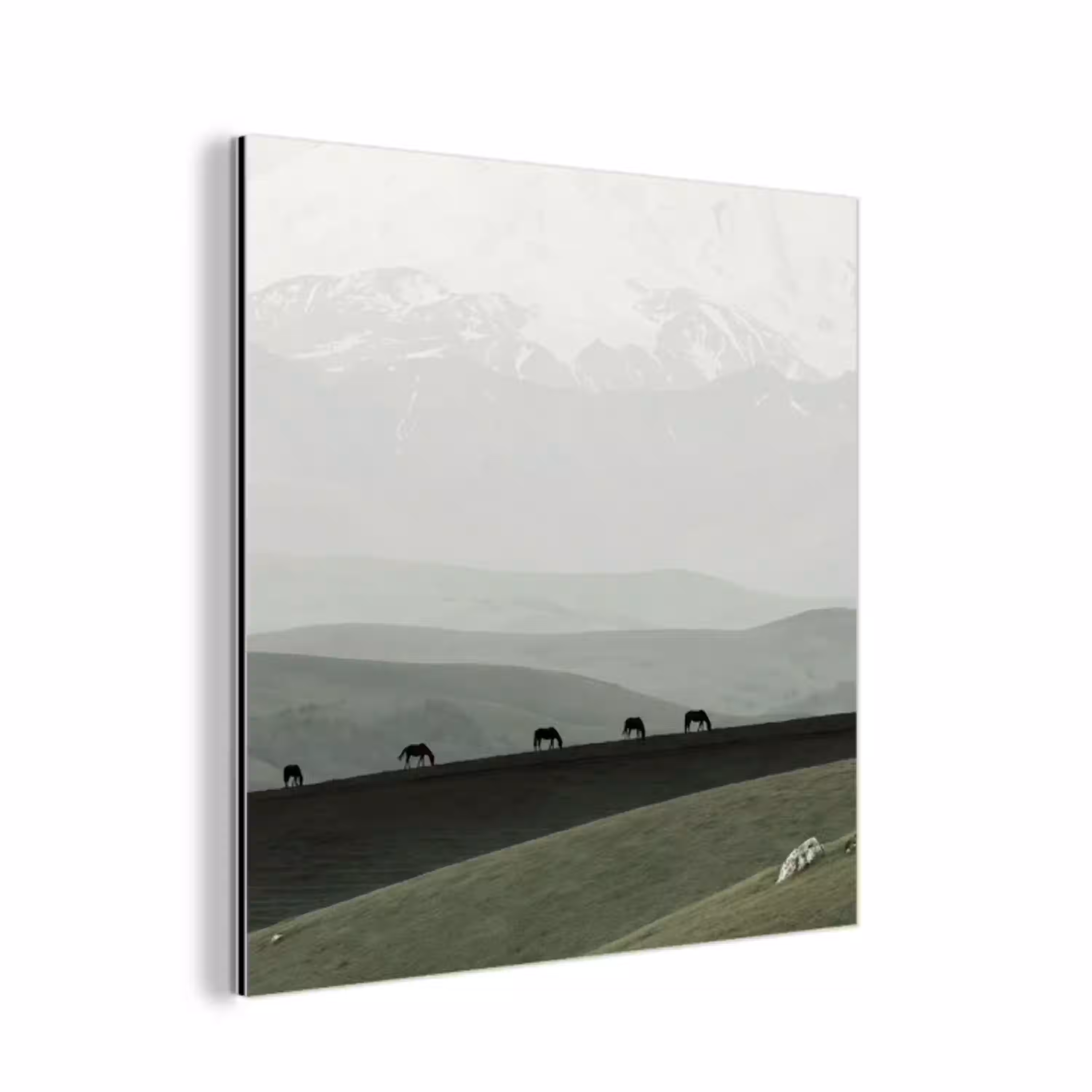 Grijs - Berg - Paarden aluminium wit klein -3d