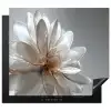 Bloem - Wit - Neutraal Inductie beschermer vinyl 3mm middel -3d