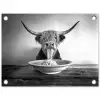 Schotse Hooglander - Spaghetti - Dieren - Zwart wit tuinposter los doek klein -3d