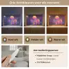 Landschap - Bergen - Bollen - Licht Light Box met kabel (Tafellamp) klein -USP_lichtkleurNL