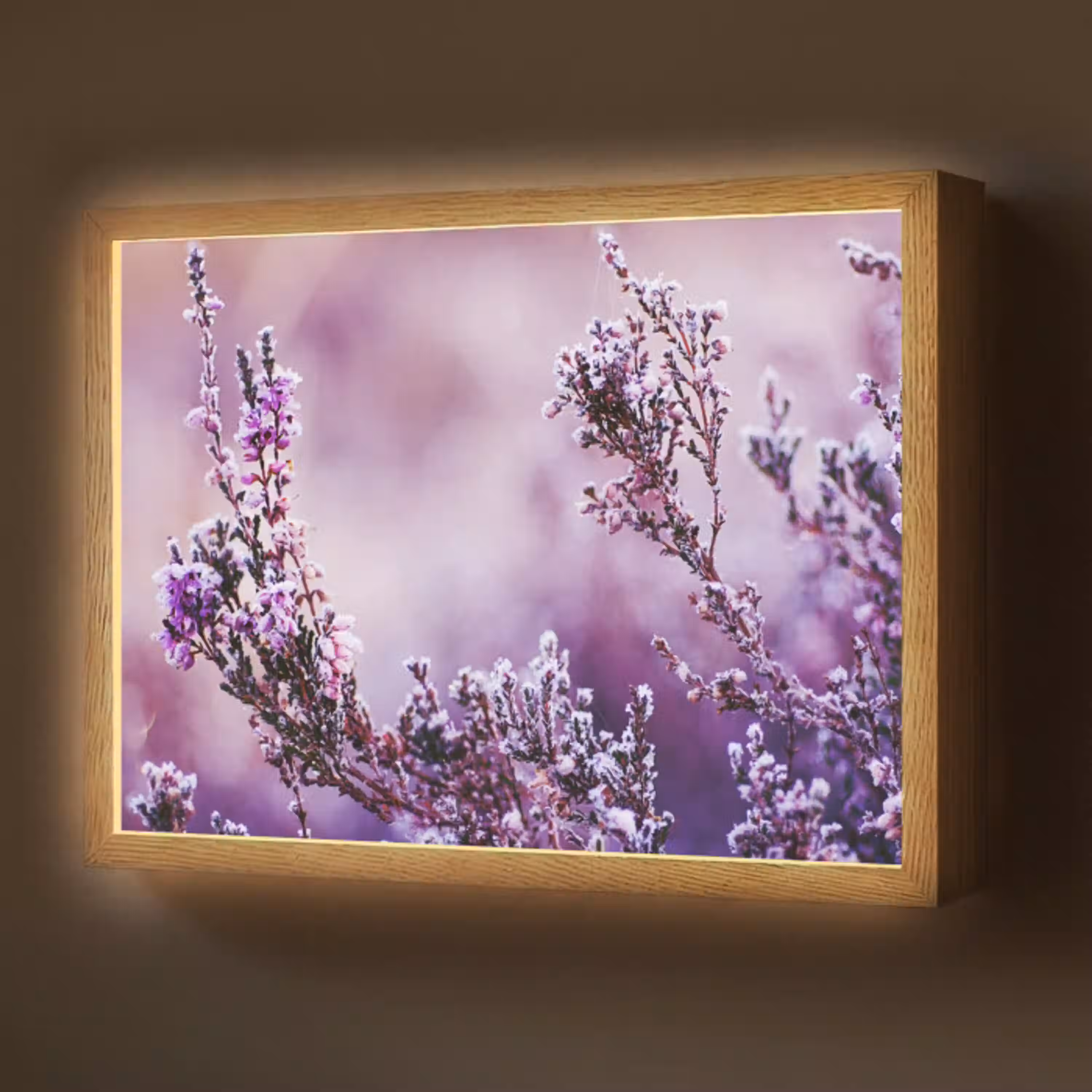 Lavendel - Winter - Bloemen - Paars Light Box met batterij (Wandlamp) middel -z3d_website