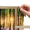 Bos - Bloemen - Lavendel - Zon - Paars - Natuur Light Box met batterij (Wandlamp) middel -USP_websiteprintNL