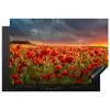 Zonsondergang - Klaprozen - Rood - Bloemen - Veld - Natuur Inductie beschermer vinyl 3mm klein -3d