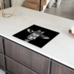 Portret van een Stille Waarnemer Inductie beschermer vinyl 3mm middel -sfeer8