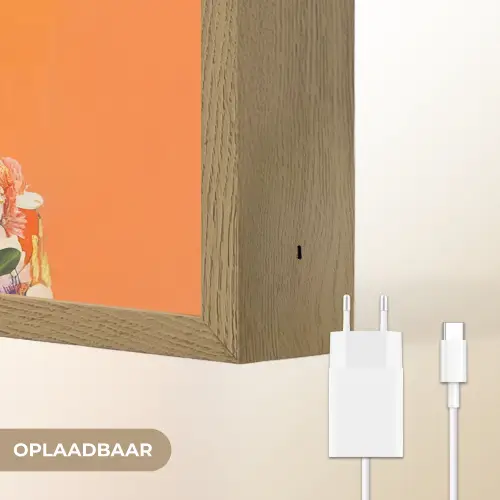 Vlinders - Vrouw - Zonnebril - Kleurrijk Light Box met batterij (Wandlamp) middel -USP_websiteoplaadbaarNL