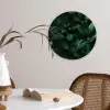 Bladeren - Ovaal - Groen - Nerven Wandcirkel plexiglas klein -sfeer4