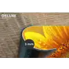 Zonnebloem - Dauwdruppels - Geel - Zonlicht Placemat vinyl groot -closeup