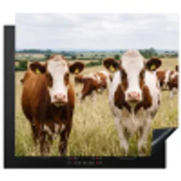 Koeien - Portret - Weide - Boerderij - Nieuwsgierig Inductie beschermer vinyl 3mm middel -3d