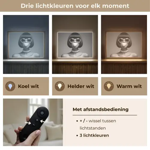 Vrouw - Zwart Wit - Ketting - Zonnebril Light Box met batterij (Wandlamp) middel -USP_lichtkleurNL