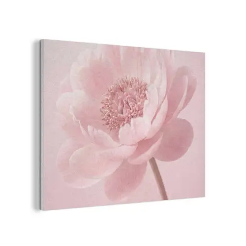 Bloem - Pioenroos - Roze PET vilt klein -3d